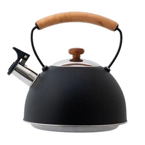 Théière en métal BORREY bouilloire sifflante cuisinière à gaz inox  cuisinière à Induction bouilloire Camping en plein air eau de cuisson  bouilloire à thé