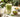 Grand verre de matcha latte crémeux avec fouet en bambou et bol de poudre de matcha vert vif