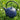 Théière en Fonte Bleue Wazuqu Mayu 550ml