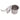 Infuseur Inox Gris
