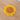 Sous-tasse Crochet Tournesol - Jaune et Marron / 10.8X10.8cm