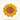 Sous-tasse Crochet Tournesol, photo du produit sur fond uni