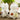 Mugs Chat