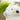 Couvercle de Mug Chat