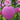 Théière Japonaise en Fonte Rose Wazuqu Mayu 550ml