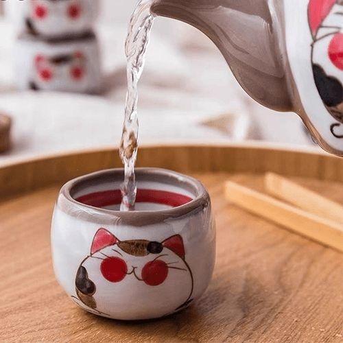 Théière Porcelaine Japonaise Utilisation